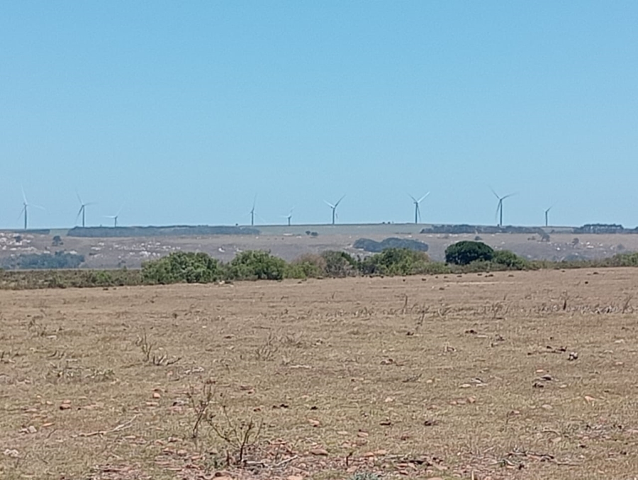 Commercial Property for Sale in Humansdorp Rural Eastern Cape